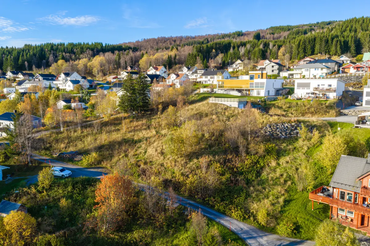 Tomta sett fra sørøst, med veien nederst og nabohus til høyre.